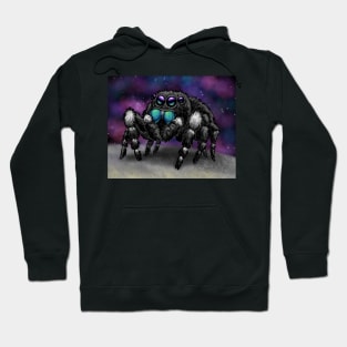 Bold Jumping Spider in Space Hoodie